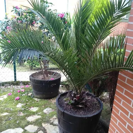 Villa La Perla De Sonabia Orinon