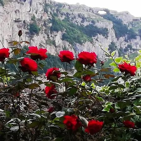 Hébergement de vacances La Perla De Sonabia *